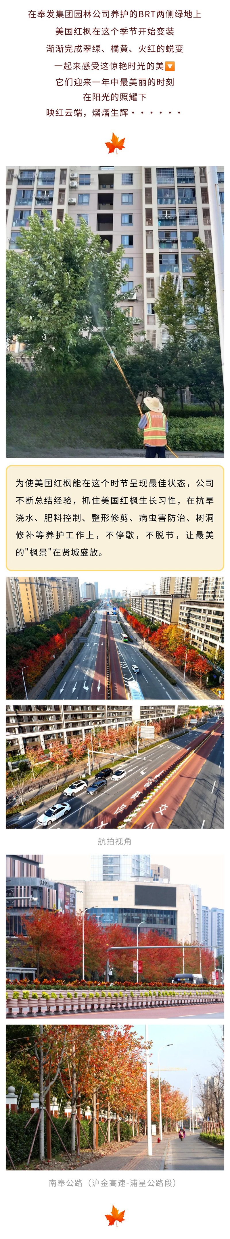 정원 바카라 양방 배팅는 함께 멋진 시간의 아름다움을 함께 경험하도록 초대합니다