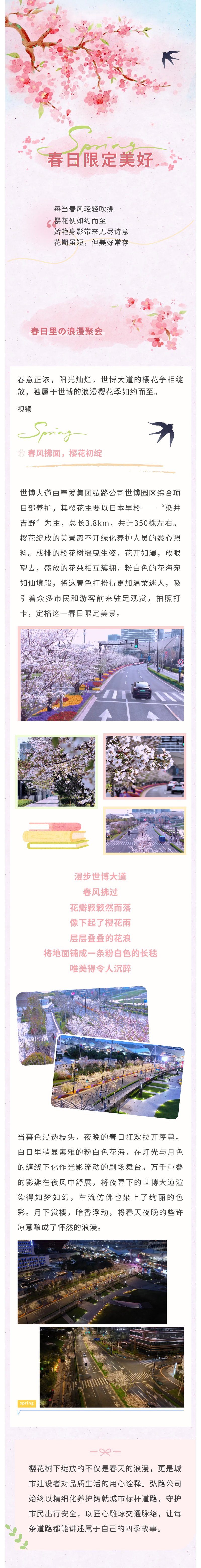 로맨틱 체리 꽃, 아름다운 풍경