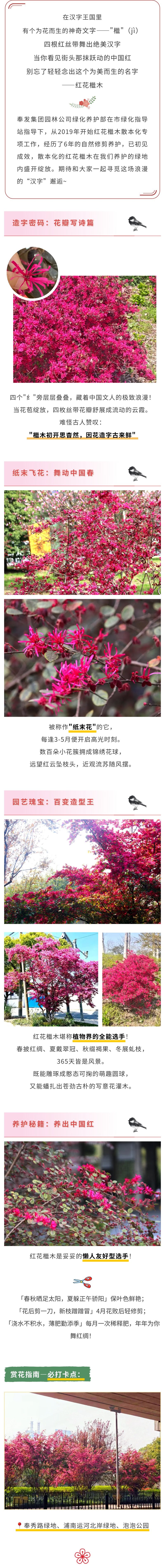 卡
